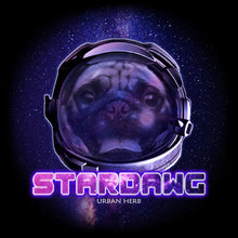 Load image into Gallery viewer, Stardawg Poster